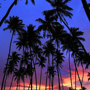 Meet your Posher, Diana